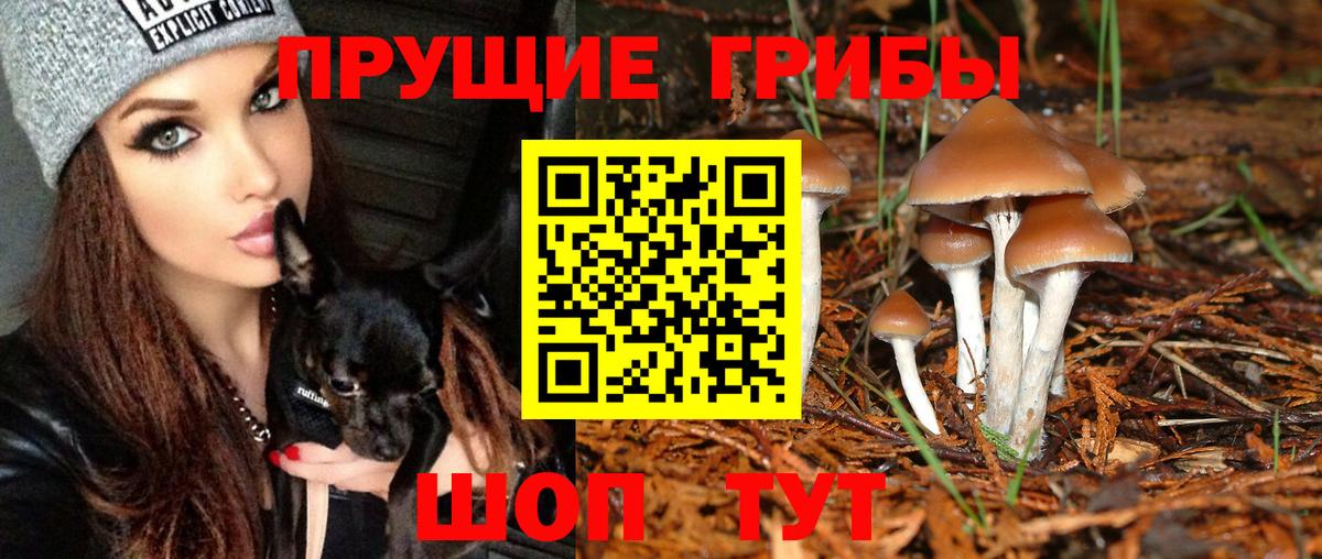 Галлюциногенные грибы ЛСД Дзержинский