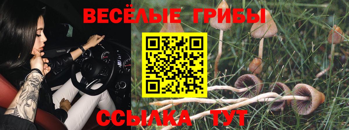 Галлюциногенные грибы мицелий  Вход с VPN  Дзержинский 